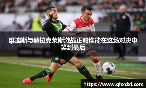 维迪斯与赫拉克莱斯激战正酣谁能在这场对决中笑到最后